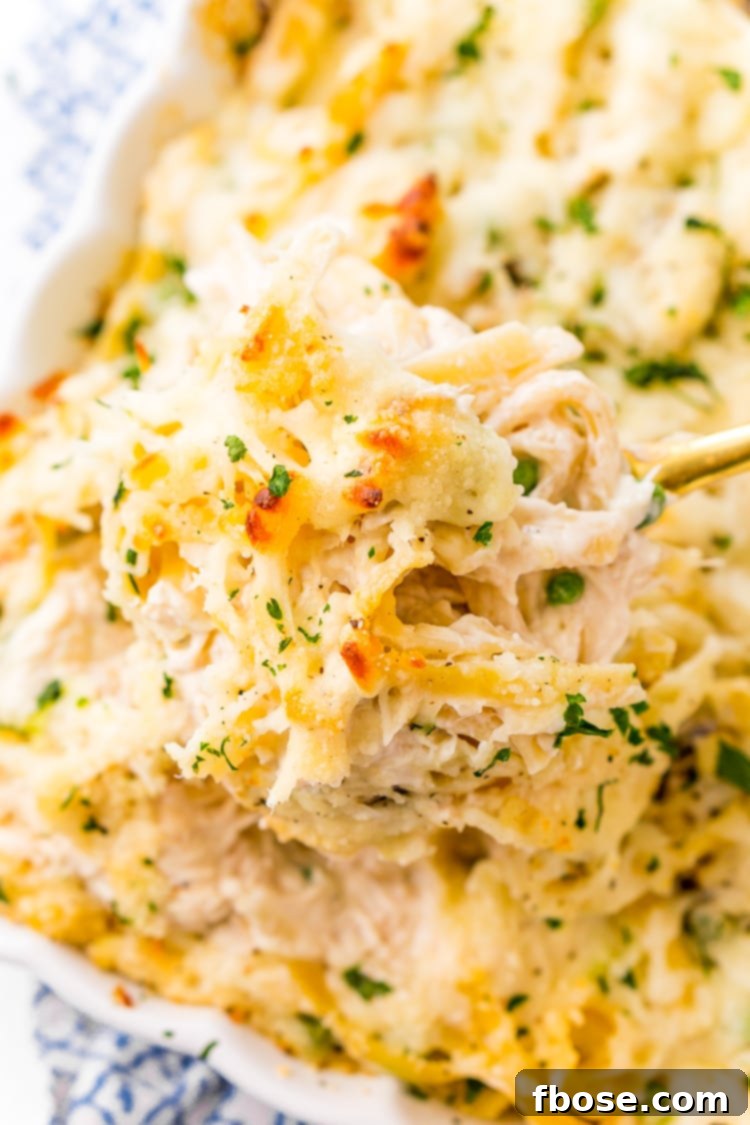 Close-up of a generous serving of Chicken Tetrazzini.