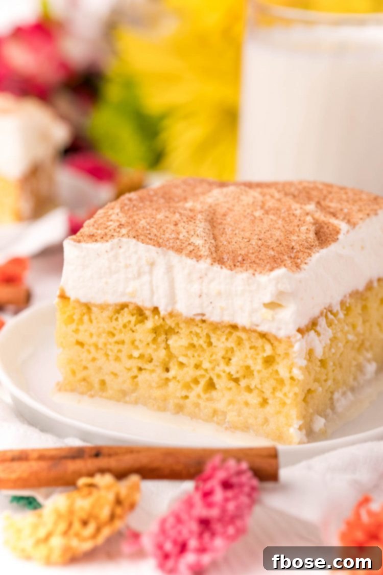 Tres Leches Cake 3 Another close up photo of a slice of tres leches cake, emphasizing the layers of cake, milk, and whipped cream.