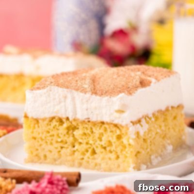 Tres Leches Cake 7 Close up photo of a slice of tres leches cake on a white plate.
