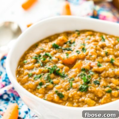 Lentil Soup is easy to make, wholesome -- and vegan! Made with a blend of savory vegetables and fragrant spices, it only takes one pot and a little prep to serve up this comforting meal.