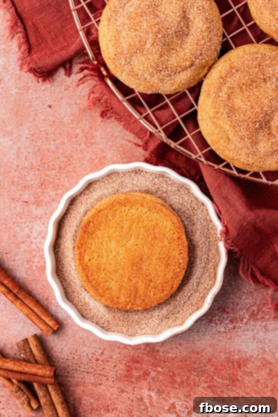 Close up of a snickerdoodle cookie being dipped in cinnamon sugar.