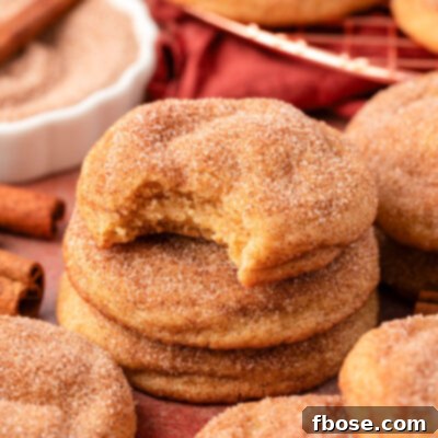 A stack of three Snickerdoodle cookies on a table, the top one is missing a bite.