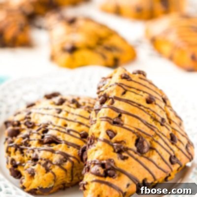 Pumpkin Scones with chocolate chips, a sophisticated and delicious fall treat.