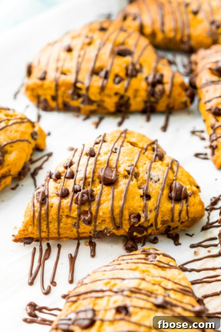 Fluffy Pumpkin Scones with a perfect blend of pumpkin spice and dark and semi-sweet chocolate chips, ideal for fall gatherings and daily indulgences.
