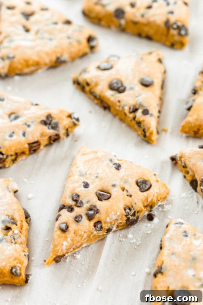 Pumpkin Chocolate Chip Scones: A close-up of baked scones, showcasing their golden crust and melted chocolate chips.