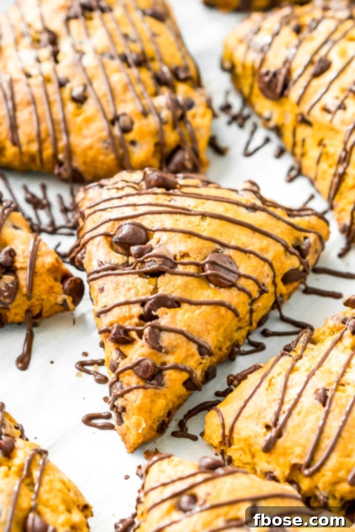 Homemade Pumpkin Scones with Chocolate Chips, ready to be enjoyed with coffee or tea.