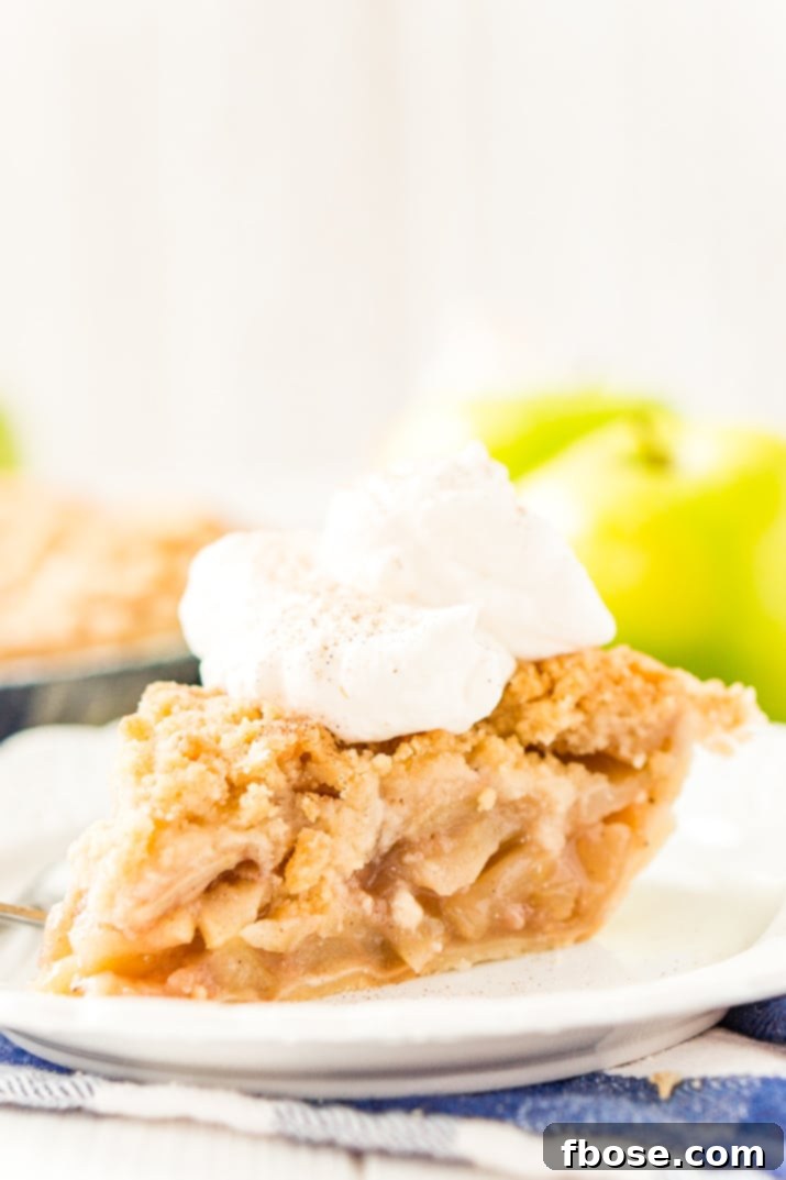 Old World Dutch Apple Pie 2 A beautifully presented slice of Dutch Apple Pie on a white plate, showcasing its golden crumb topping and tender apple filling.