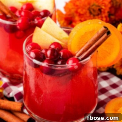 Close up of a glass filled with Thanksgiving punch and garnishes.