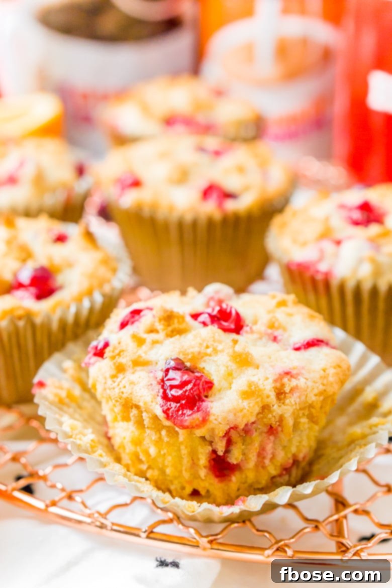 Bright Cranberry Orange Muffins 4 Cranberry Orange Muffins are a delicious and festive breakfast loaded with fresh juicy berries and laced with orange zest.