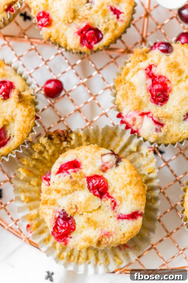 Bright Cranberry Orange Muffins 6 Cranberry Orange Muffins are a delicious and festive breakfast loaded with fresh juicy berries and laced with orange zest.