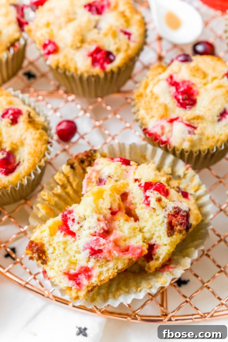 Bright Cranberry Orange Muffins 7 Cranberry Orange Muffins are a delicious and festive breakfast loaded with fresh juicy berries and laced with orange zest.