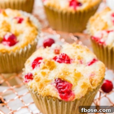 Cranberry Orange Muffins are a delicious and festive breakfast loaded with fresh juicy berries and laced with orange zest.