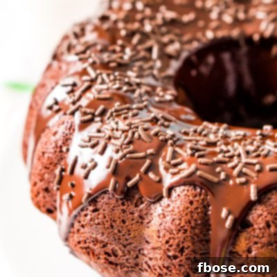 This Healthier Chocolate Yogurt Cake is a lightened up but still indulgent version of a classic bundt cake recipe made with applesauce and yogurt.
