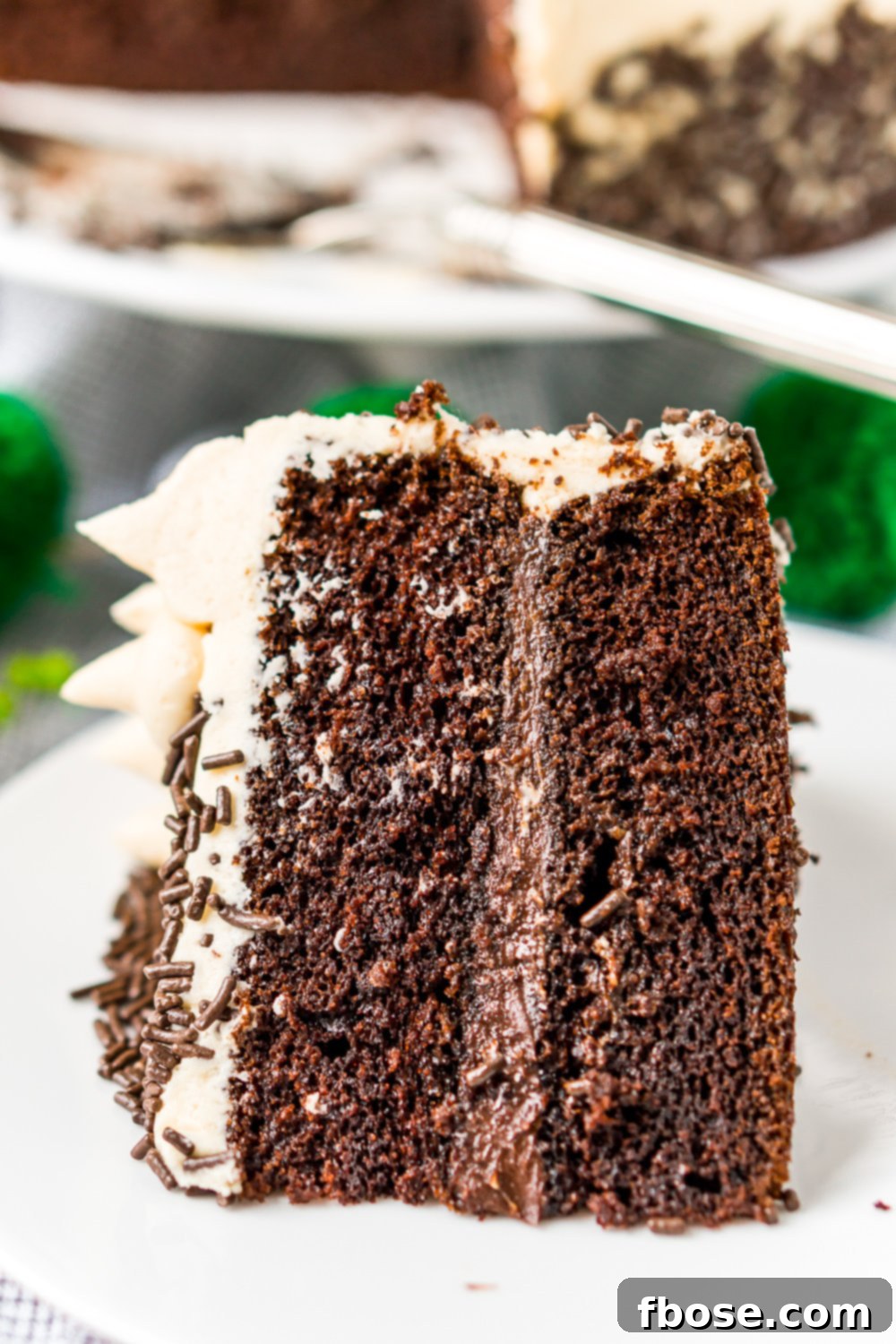 Close-up photo of a generous slice of Chocolate Guinness Cake on a white plate, highlighting the moist cake texture and the thick, creamy Irish Cream frosting.