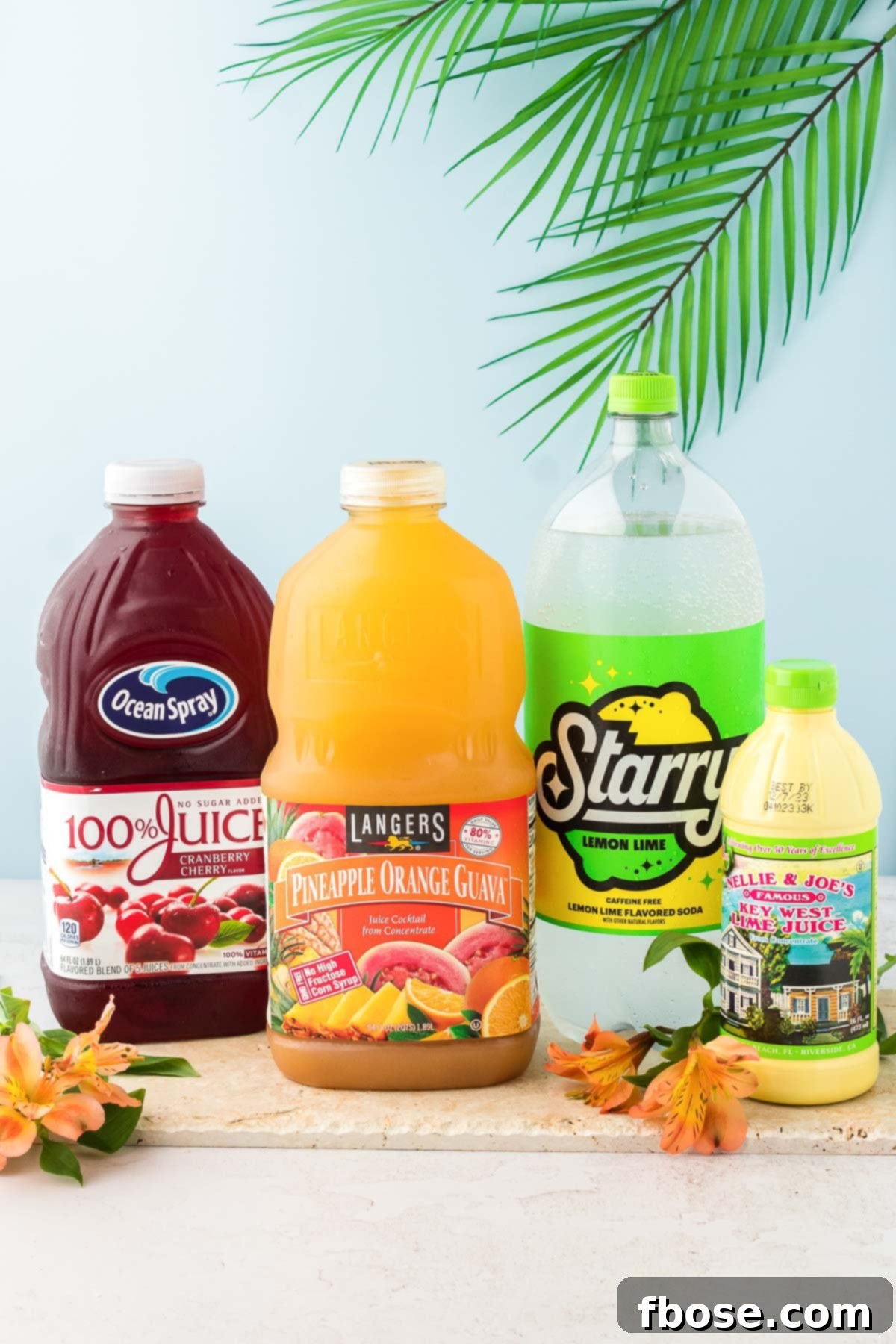 Ingredients to make fruit punch.