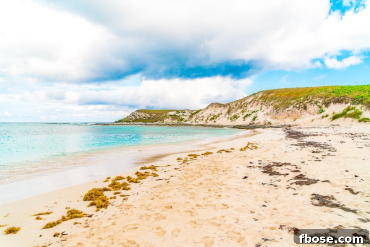 Grand Turk Island: Your Port Adventure Guide 4 A breathtaking Caribbean scene unfolds with a pristine beach meeting dramatic cliffs. The vibrant blue ocean stretches to the horizon under a clear sky, showcasing the island's natural splendor.