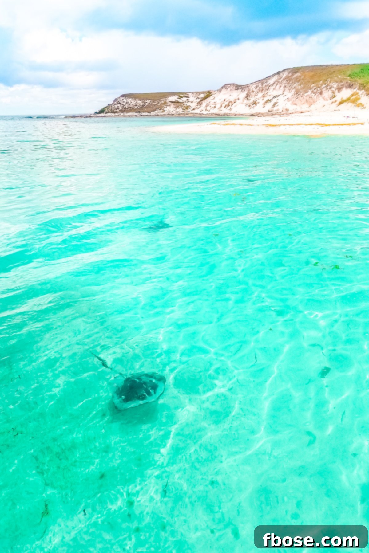 Grand Turk Island: Your Port Adventure Guide 8 A graceful stingray glides effortlessly through the clear turquoise water, with a small, serene island visible in the distant background under a bright sky.