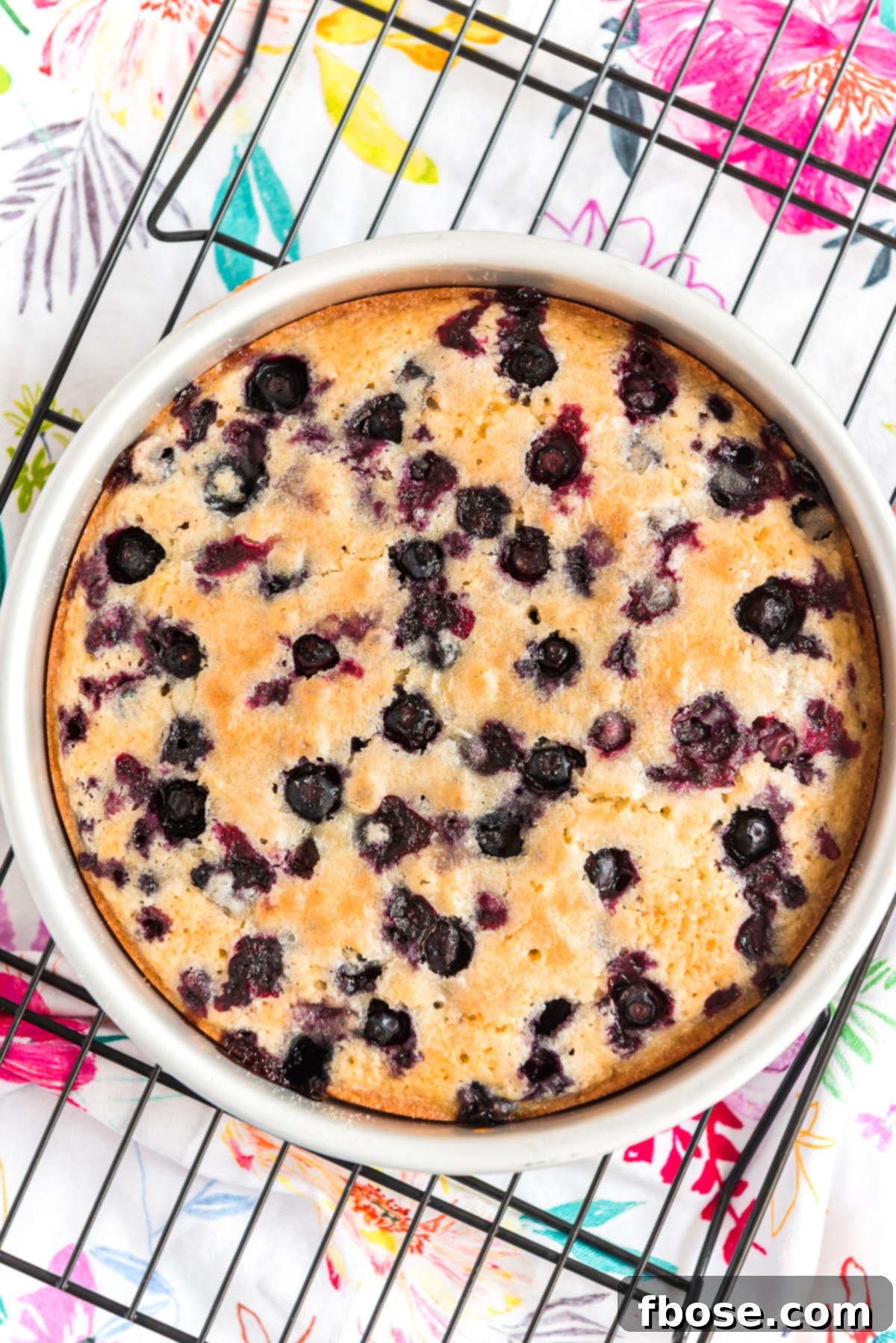 Baked Blueberry Cake in a round cake pan on a black cooling rack.