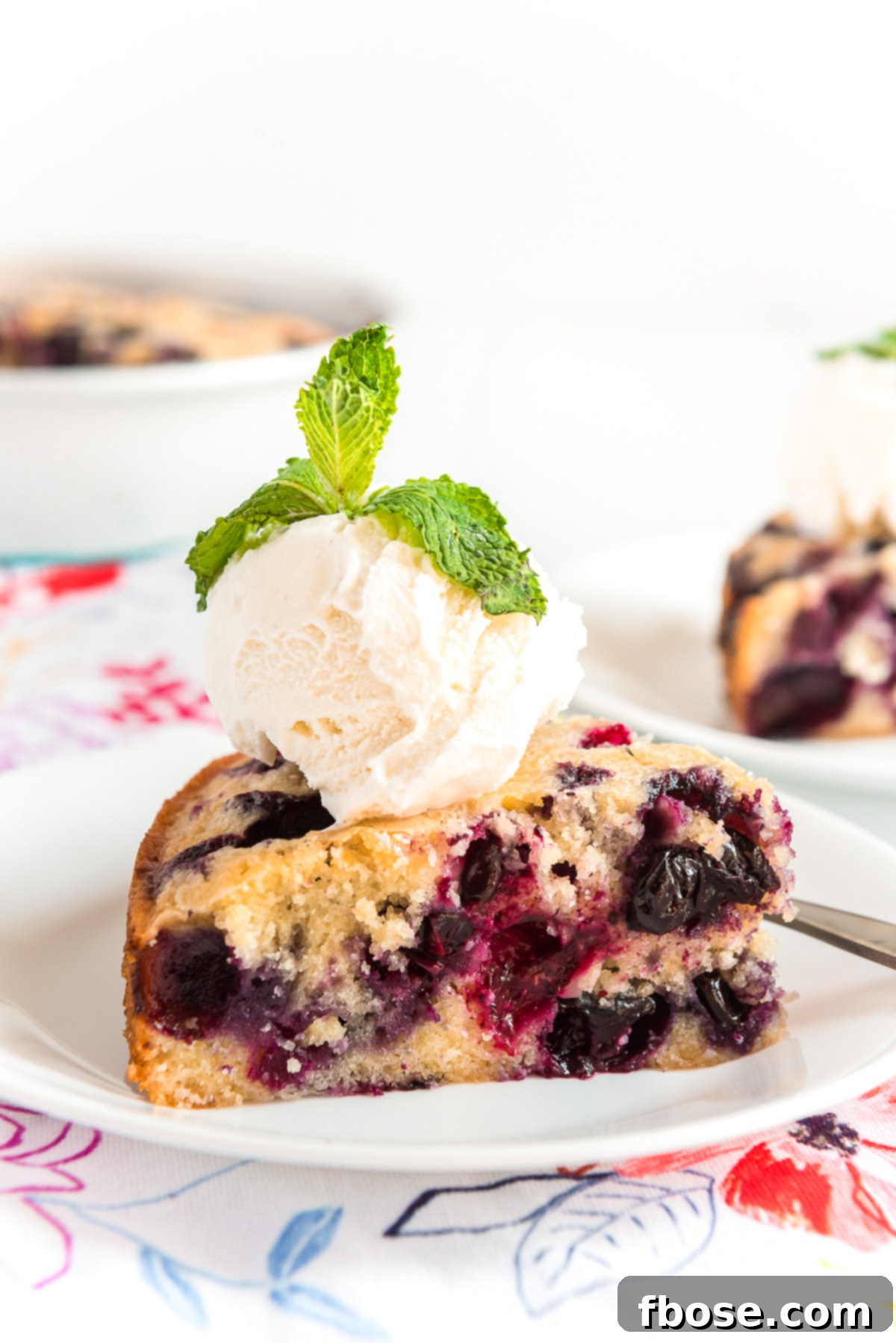 Slice of blueberry cake on a white plate with a scoop of vanilla ice cream on top.