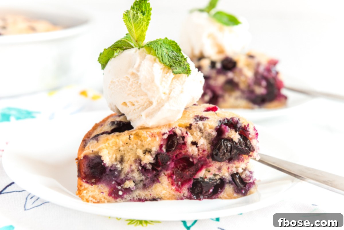 Slice of blueberry snack cake on a white plate topped with ice cream and garnished with mint.