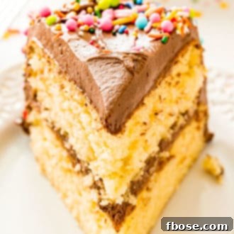 Slice of yellow cake with chocolate frosting and sprinkles on a white plate.