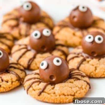 Halloween Spider cookies on a white plate.