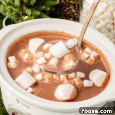 A crockpot full of hot chocolate with a ladle scooping some out.