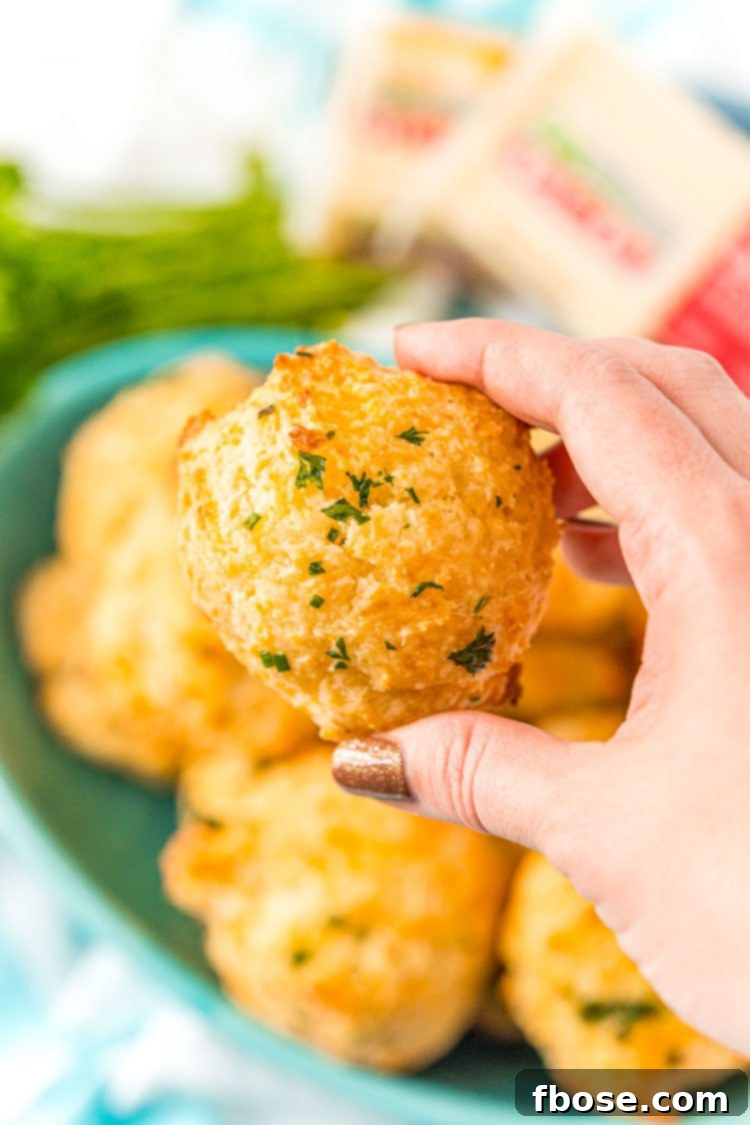 Woman's hand holding a cheddar biscuit.