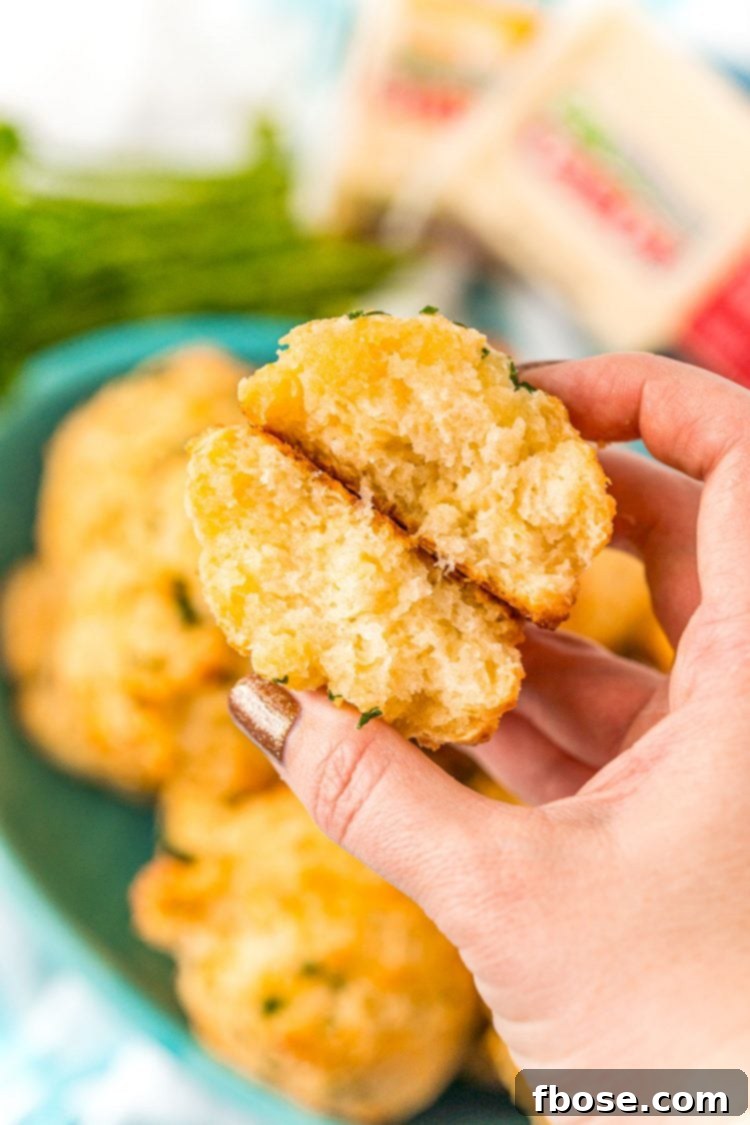 A cheese biscuit broken in half showing the texture.