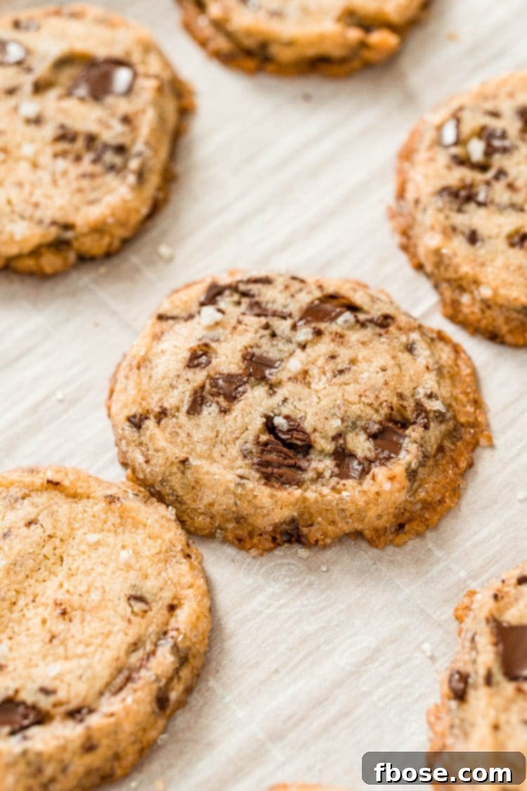 Close up photo of chocolate chip shortbread cookies.