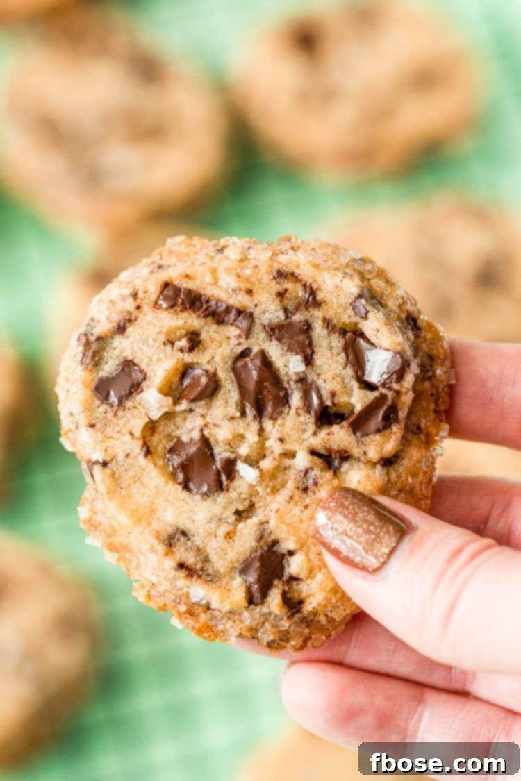 Woman's hand holding The Cookie (chocolate chip shortbread).