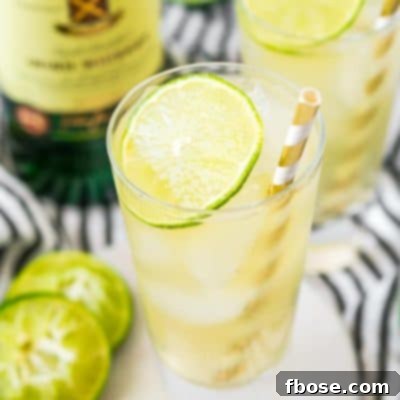 This Irish Mule Cocktail is a bright mix of smooth Irish whiskey, zesty ginger beer, and tart lime juice and it's sure to make you want to dance this St. Patrick's Day!