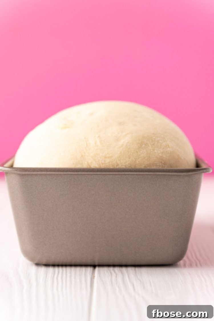 Two loaves of bread dough beautifully risen above the edges of their loaf pans, perfectly proofed and ready to be baked to a golden perfection.