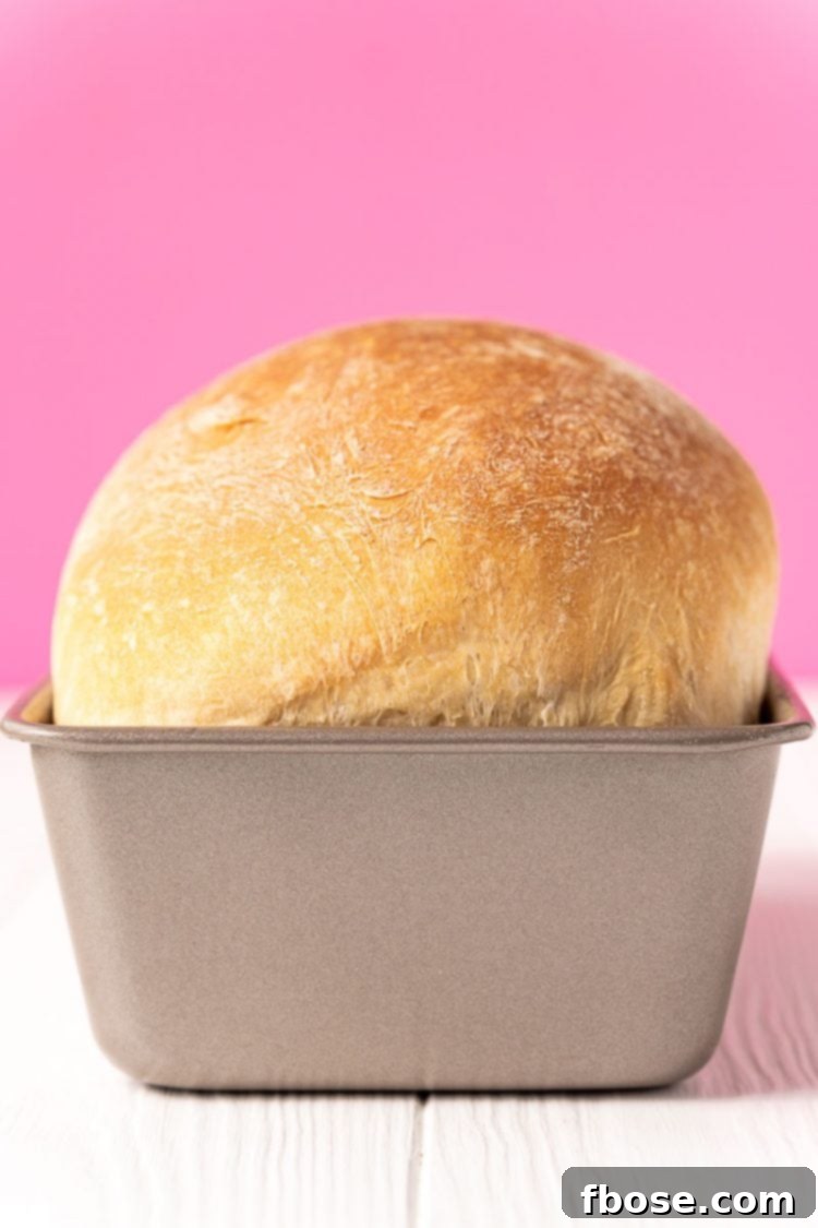 A golden-brown, perfectly baked loaf of homemade bread still in its pan, resting on a crisp white table, radiating warmth and fresh aroma.