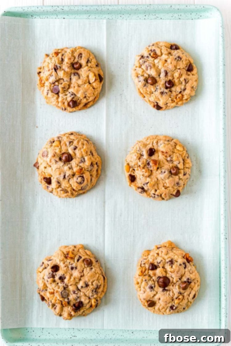 An overhead view of freshly baked chocolate chip walnut cookies cooling on a baking sheet, their golden edges promising a perfect chew.