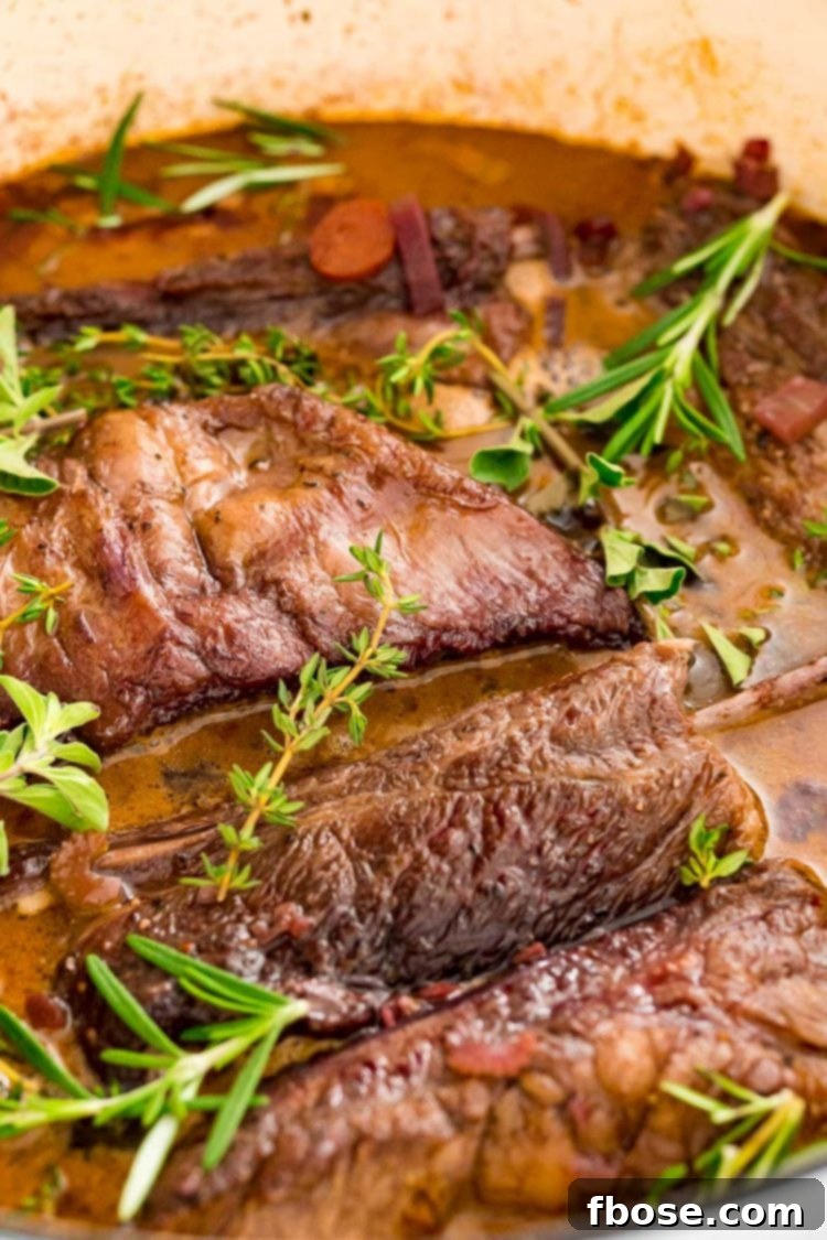 Braised short ribs, submerged in a rich sauce with vegetables and herbs, covered and ready to be placed into the oven.