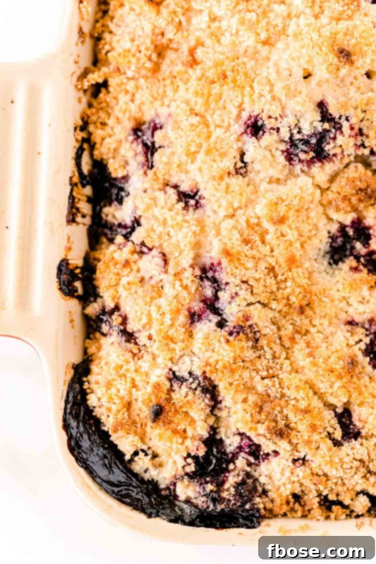 Overhead photo of a golden-brown blueberry buckle in a square baking dish, ready to be served.