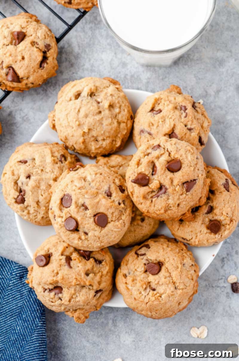 White plate filled with oatmeal chocolate chip cookies on a grey counter.
