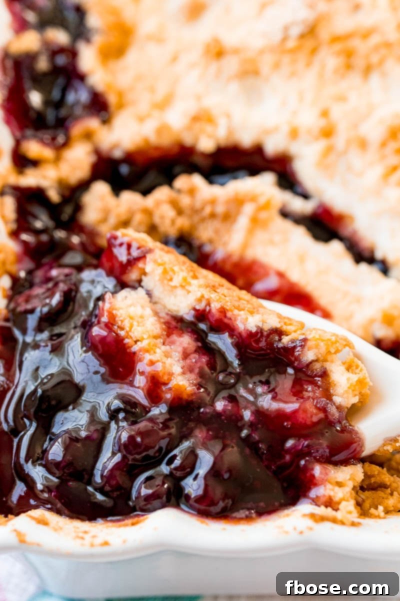 A golden-brown blueberry dump cake, similar to a cobbler, in a white baking dish with a serving spoon scooping out a portion, revealing the warm, bubbling blueberry filling beneath the cake topping. Perfect for a family dessert.
