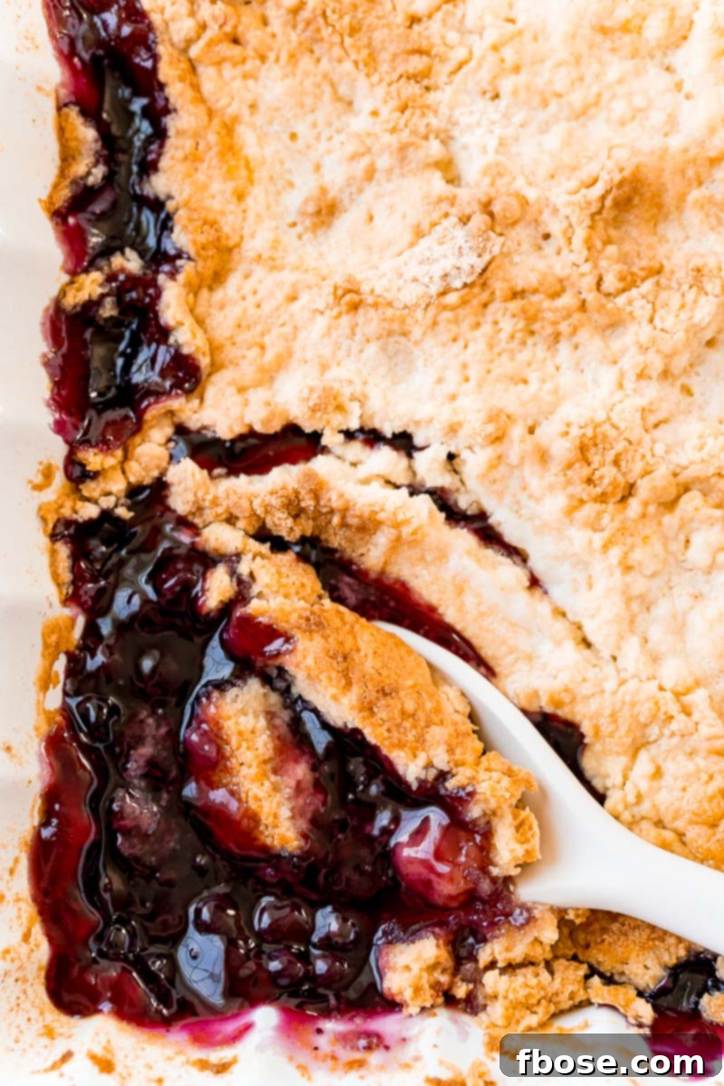 An overhead view of a delicious blueberry dump cake, warm and bubbly from the oven, with a white serving spoon scooping out a generous portion from a large white baking dish.