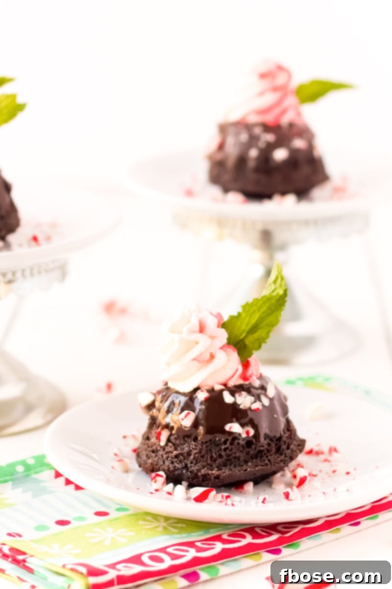A single Mini Chocolate Peppermint Bundt Cake, showcasing the detailed bundt shape, coated in rich chocolate ganache and topped with a beautiful swirl of pink peppermint whipped cream.