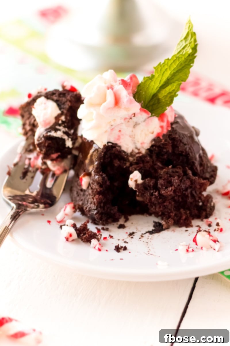 A top-down view of several Mini Chocolate Peppermint Bundt Cakes, artfully arranged, highlighting their festive garnishes of peppermint whipped cream and candy cane sprinkles.