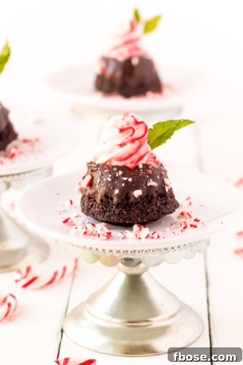 A close-up of a Mini Chocolate Peppermint Bundt Cake, showcasing its glossy chocolate ganache and fluffy pink peppermint whipped cream, with crushed candy cane accents on a festive background.