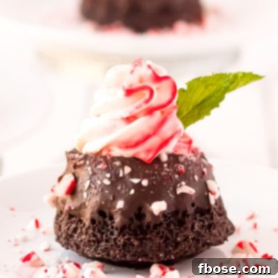 Rich Mini Chocolate Peppermint Bundt Cakes, crowned with peppermint whipped cream and crushed candy canes.