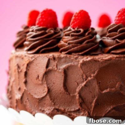 Close up photo of a dark chocolate cake topped with raspberries.