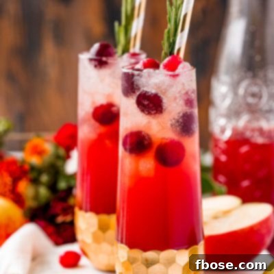 Ruby Red Apple Cider Punch 8 Close up photo of two fluted glasses filled with a red cocktail and cranberries.