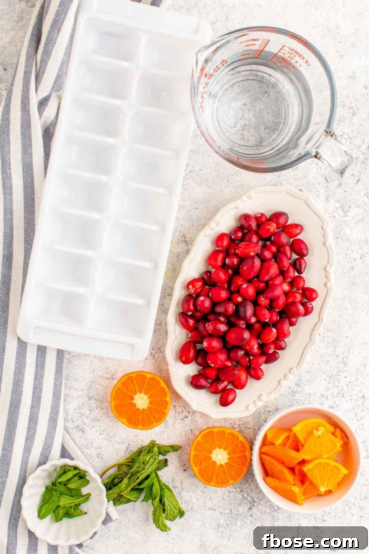 Overhead photo of fresh ingredients including cranberries, orange slices, and mint leaves, prepared for making festive holiday ice cubes.