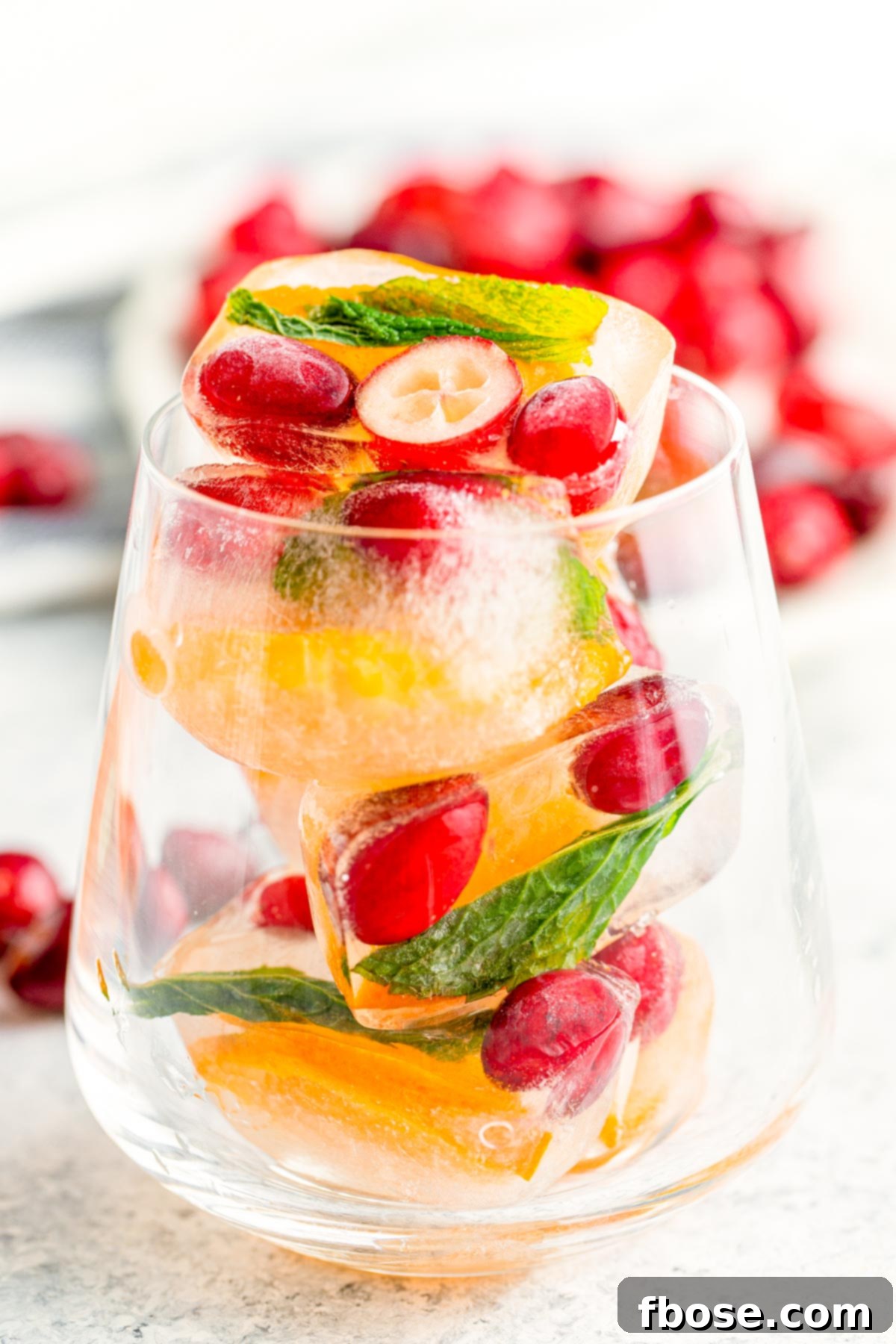 A cocktail glass elegantly filled with festive Christmas ice cubes, featuring cranberries and mint.