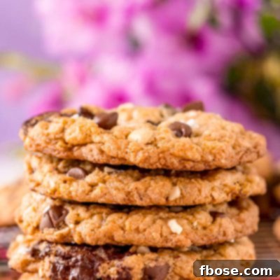 Straight on photo of a stack of five ranger cookies.
