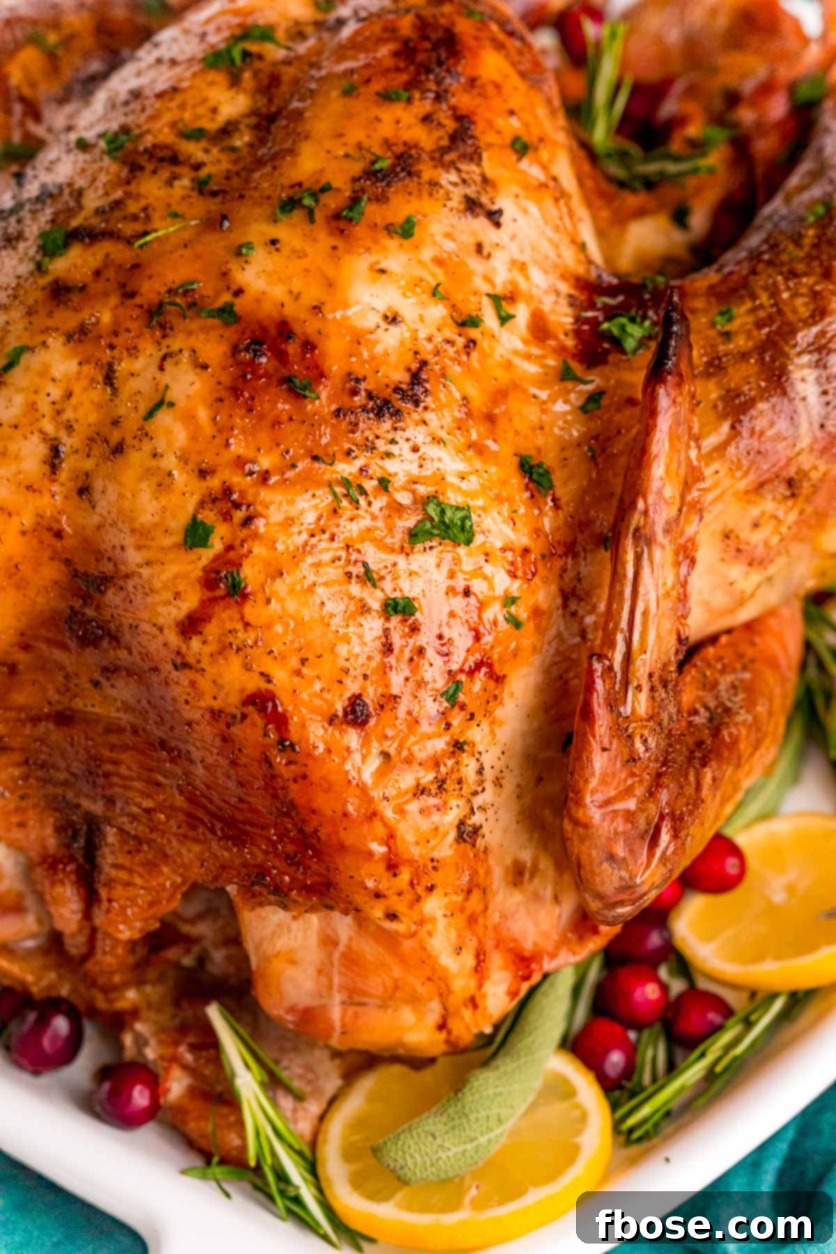 Close-up shot of a magnificent roasted Thanksgiving turkey, showcasing its golden-brown skin and succulent texture.